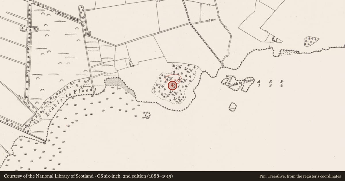 Ordnance Survey six-inch map, 2nd edition (1888–1915) covering the location of Cist, Keoltown, County Westmeath, with a pin at the register's coordinates
