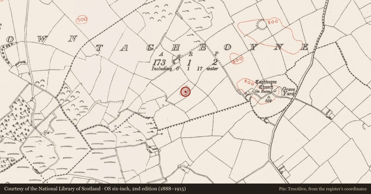 Ordnance Survey six-inch map, 2nd edition (1888–1915) covering the location of House - indeterminate date, Taghboyne, County Westmeath, with a pin at the register's coordinates