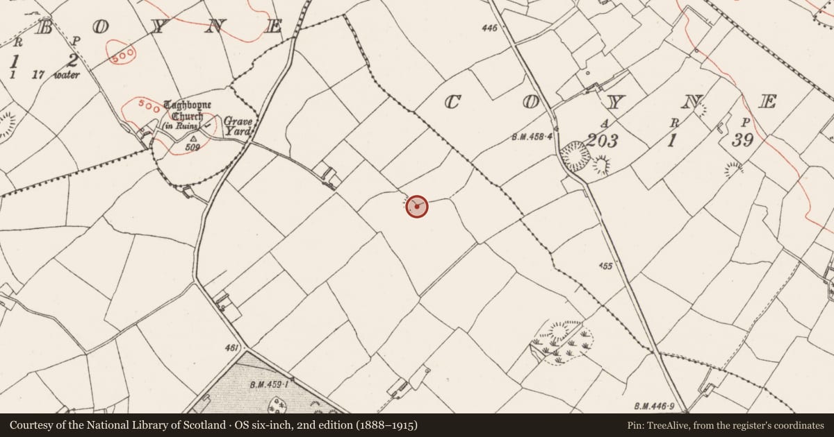 Ordnance Survey six-inch map, 2nd edition (1888–1915) covering the location of Ringfort - rath, Redmondstown, County Westmeath, with a pin at the register's coordinates