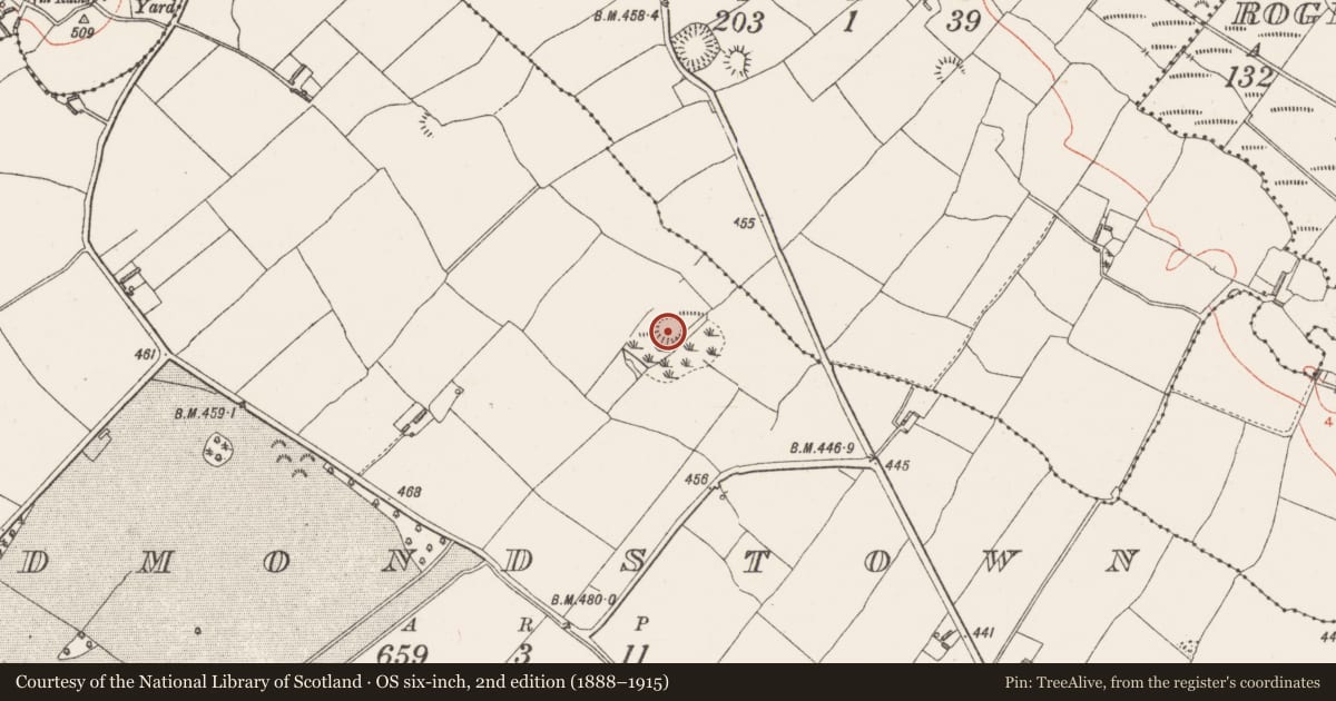 Ordnance Survey six-inch map, 2nd edition (1888–1915) covering the location of Ringfort - rath, Redmondstown, County Westmeath, with a pin at the register's coordinates
