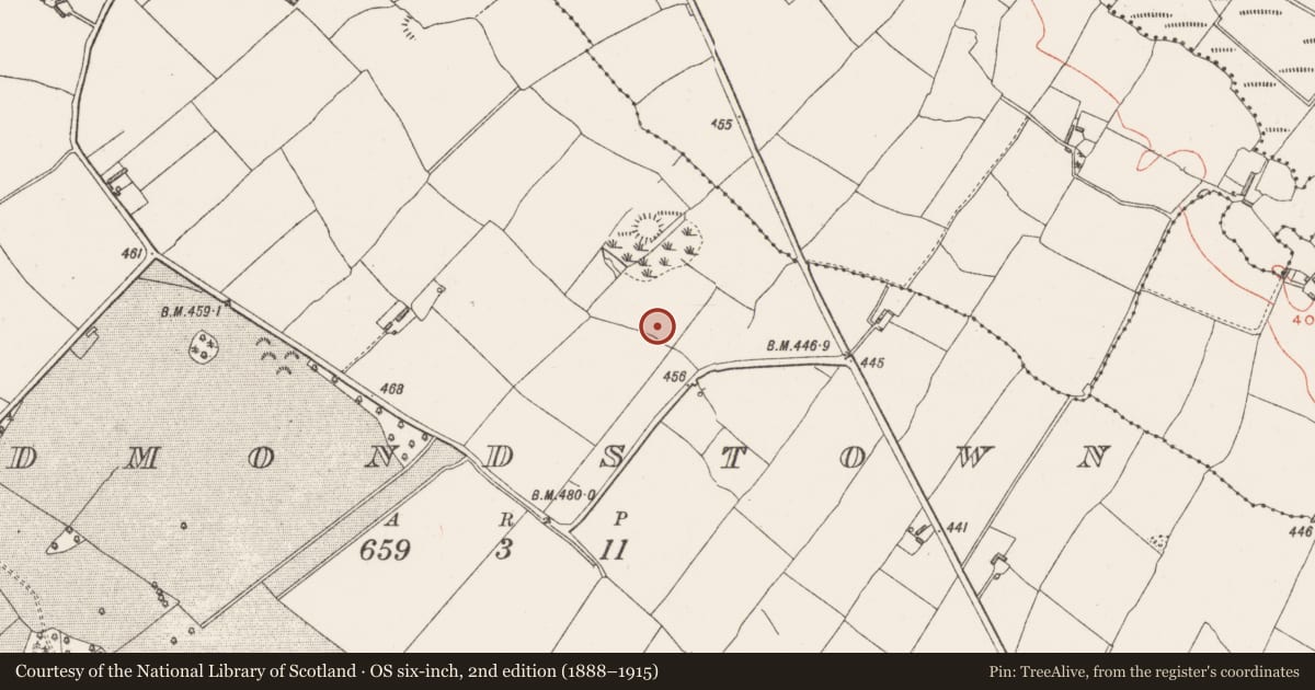 Ordnance Survey six-inch map, 2nd edition (1888–1915) covering the location of Ringfort - rath, Redmondstown, County Westmeath, with a pin at the register's coordinates