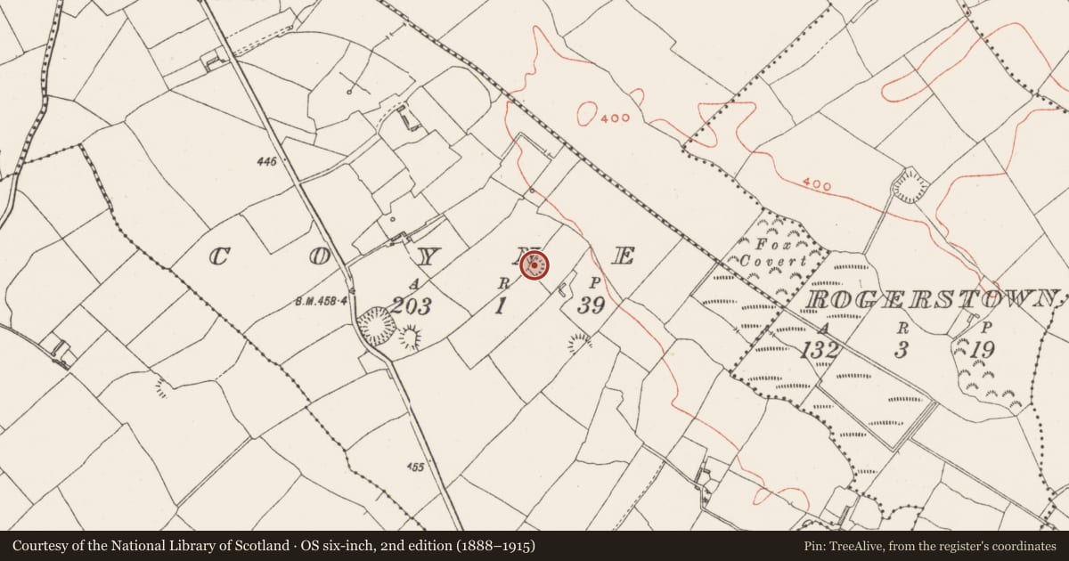 Ordnance Survey six-inch map, 2nd edition (1888–1915) covering the location of Ringfort - rath, Coyne, County Westmeath, with a pin at the register's coordinates