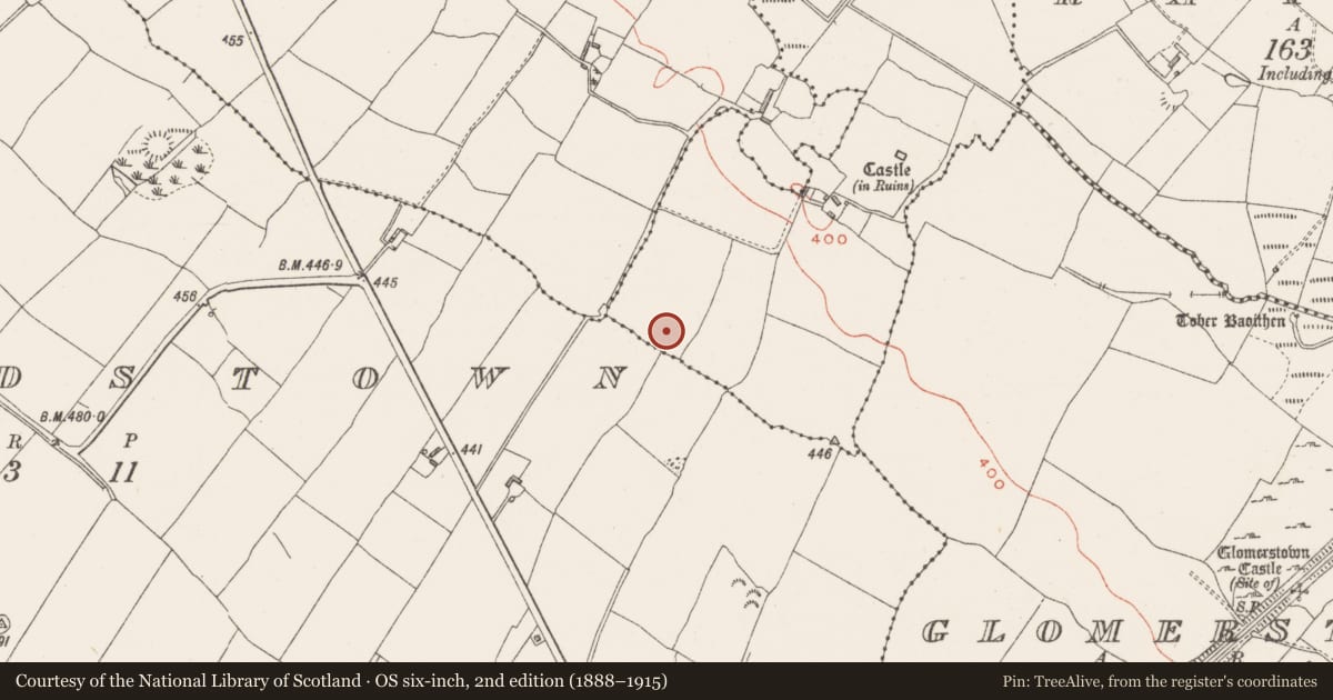 Ordnance Survey six-inch map, 2nd edition (1888–1915) covering the location of Standing stone, Rogerstown, County Westmeath, with a pin at the register's coordinates