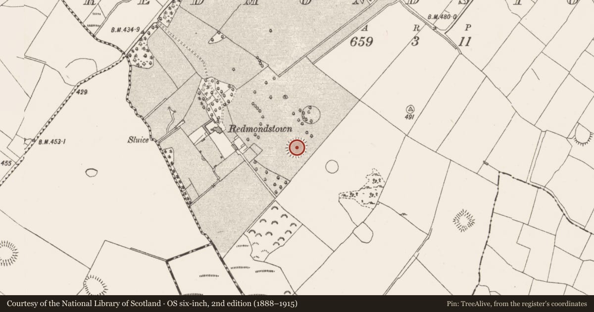 Ordnance Survey six-inch map, 2nd edition (1888–1915) covering the location of Ringfort - rath, Redmondstown, County Westmeath, with a pin at the register's coordinates