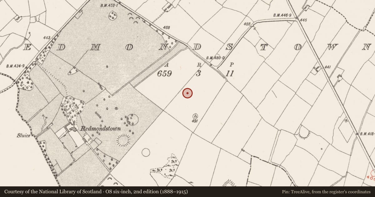 Ordnance Survey six-inch map, 2nd edition (1888–1915) covering the location of Flat cemetery, Redmondstown, County Westmeath, with a pin at the register's coordinates