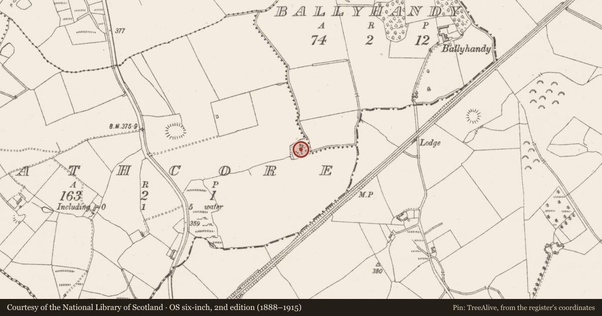 Ordnance Survey six-inch map, 2nd edition (1888–1915) covering the location of Moated site, Rathcore, County Westmeath, with a pin at the register's coordinates
