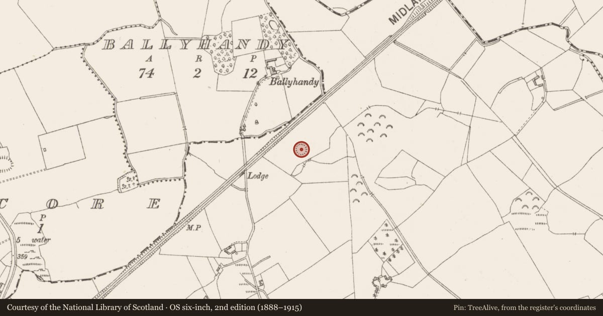 Ordnance Survey six-inch map, 2nd edition (1888–1915) covering the location of Ringfort - rath, Rathnamuddagh, County Westmeath, with a pin at the register's coordinates