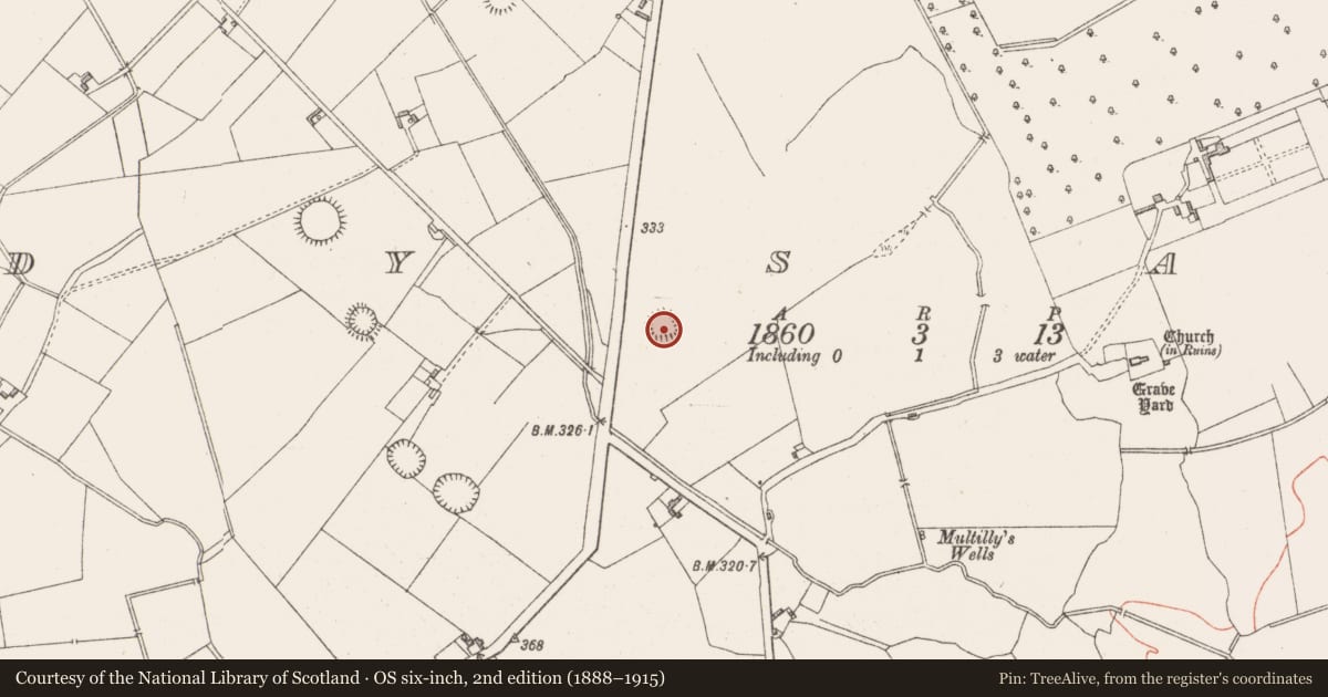 Ordnance Survey six-inch map, 2nd edition (1888–1915) covering the location of Field system, Dysart, County Westmeath, with a pin at the register's coordinates