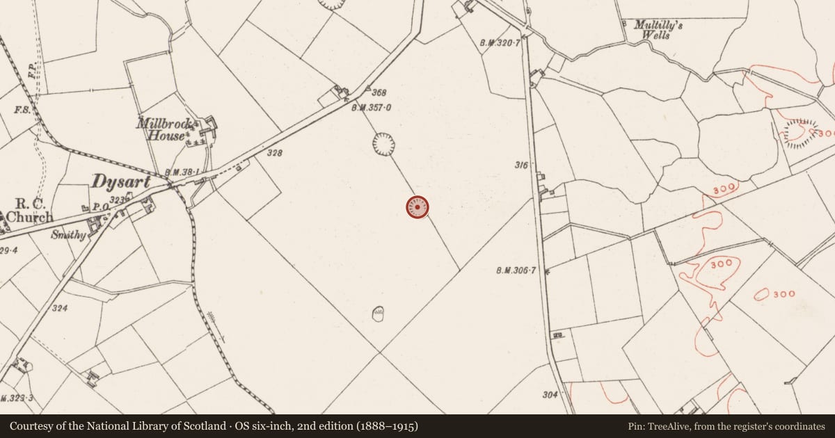 Ordnance Survey six-inch map, 2nd edition (1888–1915) covering the location of Ringfort - rath, Dysart, County Westmeath, with a pin at the register's coordinates