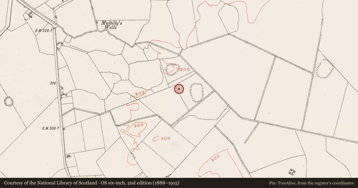 Ordnance Survey six-inch map, 2nd edition (1888–1915) covering the location of House - indeterminate date, Dysart, County Westmeath, with a pin at the register's coordinates