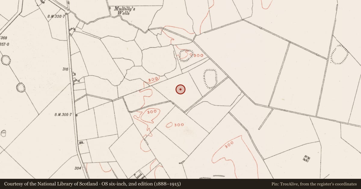 Ordnance Survey six-inch map, 2nd edition (1888–1915) covering the location of Enclosure - large enclosure, Dysart, County Westmeath, with a pin at the register's coordinates