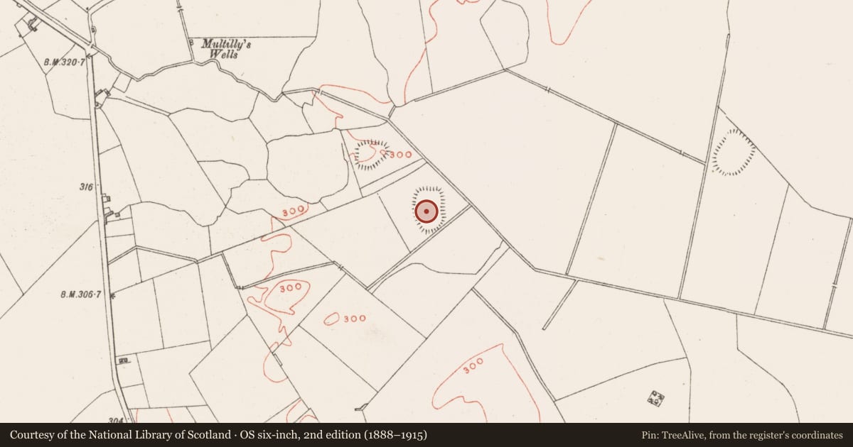 Ordnance Survey six-inch map, 2nd edition (1888–1915) covering the location of Enclosure - large enclosure, Dysart, County Westmeath, with a pin at the register's coordinates
