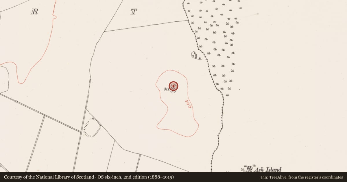 Ordnance Survey six-inch map, 2nd edition (1888–1915) covering the location of Moated site, Dysart, County Westmeath, with a pin at the register's coordinates