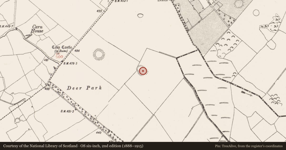 Ordnance Survey six-inch map, 2nd edition (1888–1915) covering the location of Ringfort - rath, Jamestown, County Westmeath, with a pin at the register's coordinates