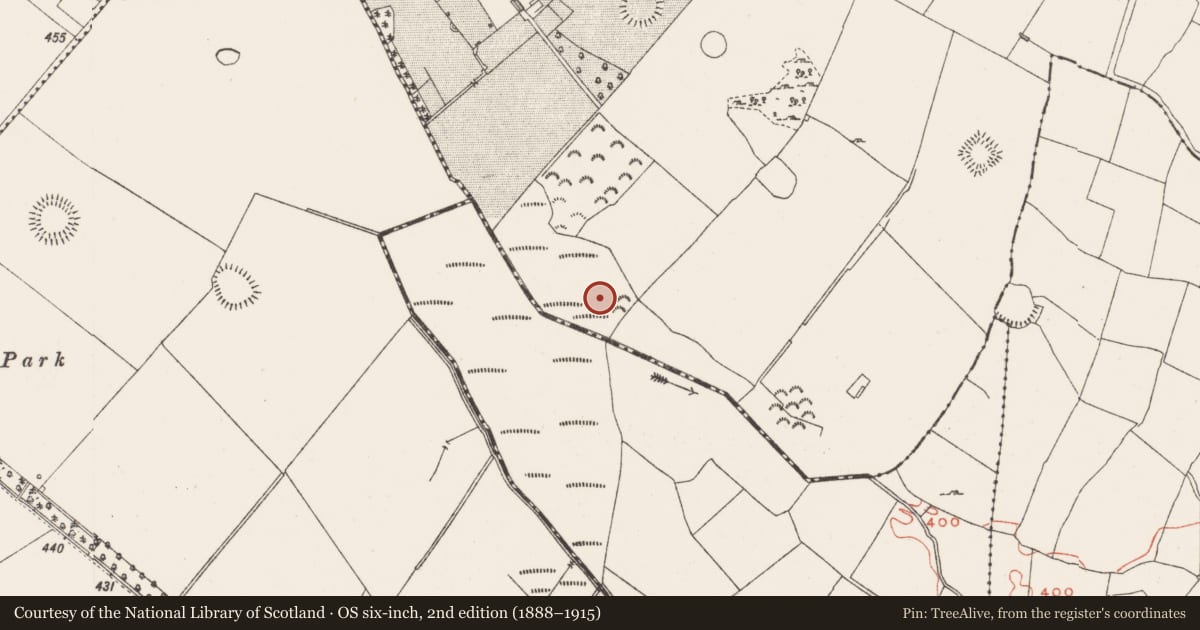 Ordnance Survey six-inch map, 2nd edition (1888–1915) covering the location of Earthwork, Redmondstown, County Westmeath, with a pin at the register's coordinates