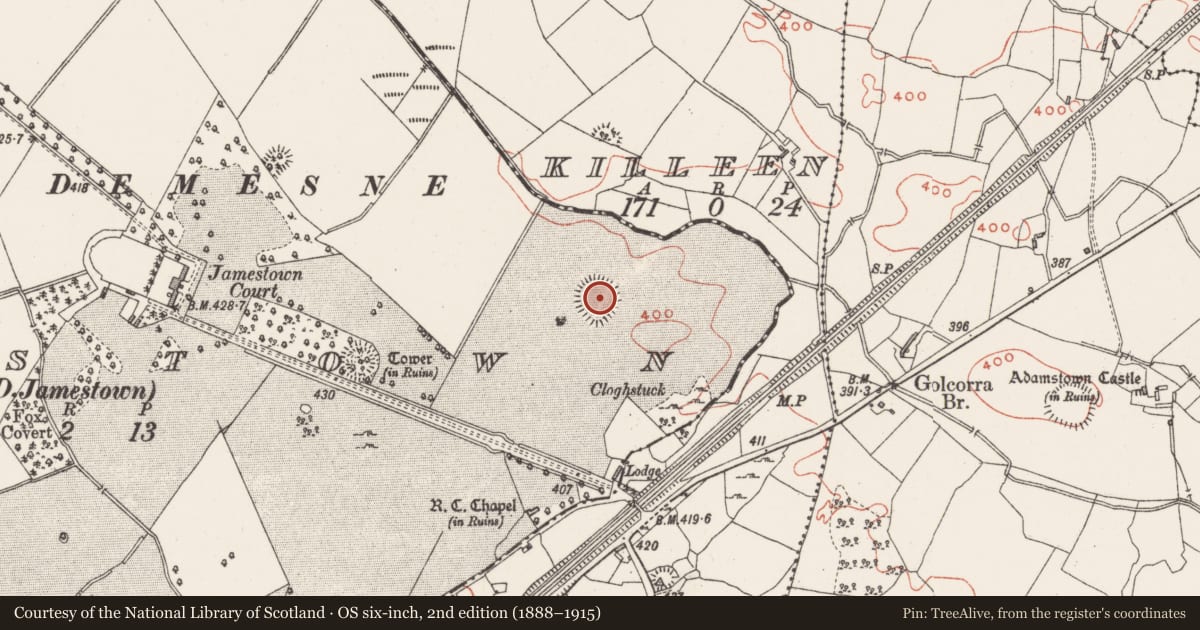 Ordnance Survey six-inch map, 2nd edition (1888–1915) covering the location of Ringfort - rath, Jamestown, County Westmeath, with a pin at the register's coordinates