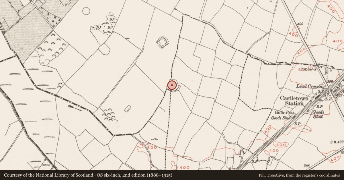 Ordnance Survey six-inch map, 2nd edition (1888–1915) covering the location of Ringfort - rath, Adamstown, County Westmeath, with a pin at the register's coordinates