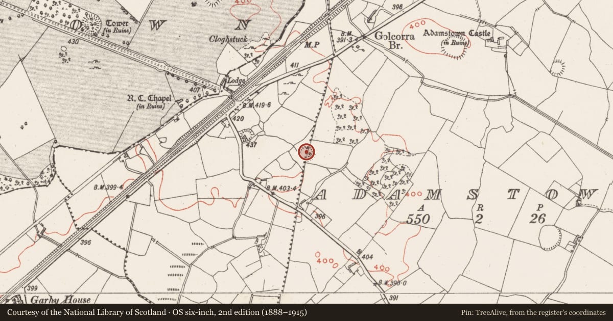 Ordnance Survey six-inch map, 2nd edition (1888–1915) covering the location of Ringfort - rath, Killeen, Adamstown, County Westmeath, with a pin at the register's coordinates