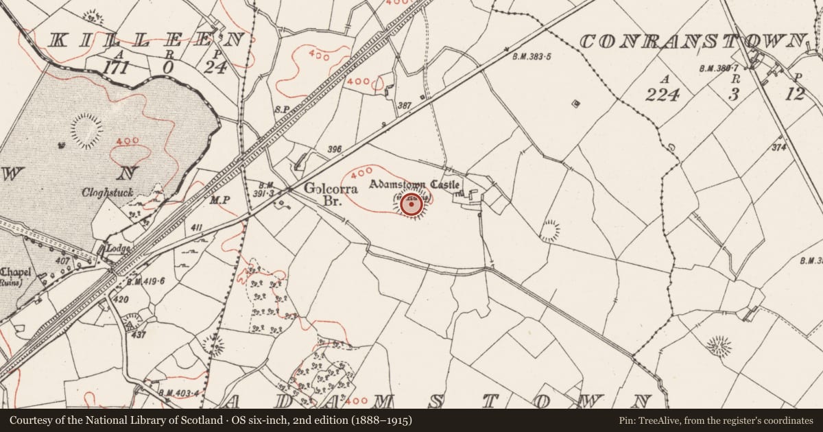 Ordnance Survey six-inch map, 2nd edition (1888–1915) covering the location of House - indeterminate date, Adamstown, County Westmeath, with a pin at the register's coordinates