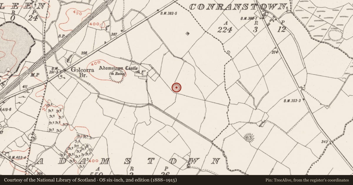Ordnance Survey six-inch map, 2nd edition (1888–1915) covering the location of Ringfort - rath, Adamstown, County Westmeath, with a pin at the register's coordinates