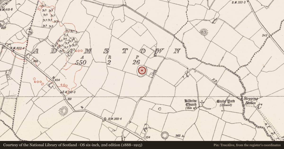 Ordnance Survey six-inch map, 2nd edition (1888–1915) covering the location of Ringfort - rath, Adamstown, County Westmeath, with a pin at the register's coordinates