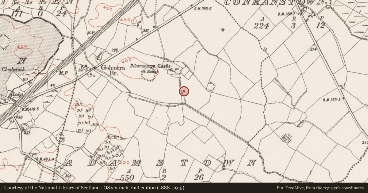 Ordnance Survey six-inch map, 2nd edition (1888–1915) covering the location of Souterrain, Adamstown, County Westmeath, with a pin at the register's coordinates