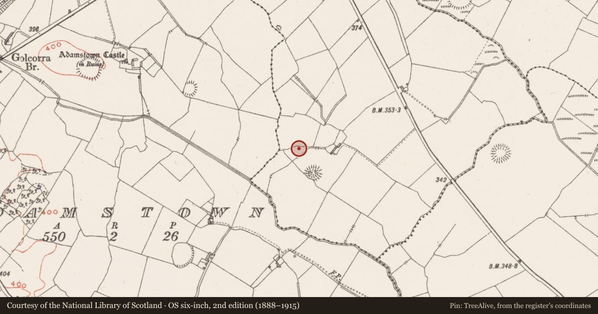Ordnance Survey six-inch map, 2nd edition (1888–1915) covering the location of Enclosure, Conranstown, County Westmeath, with a pin at the register's coordinates