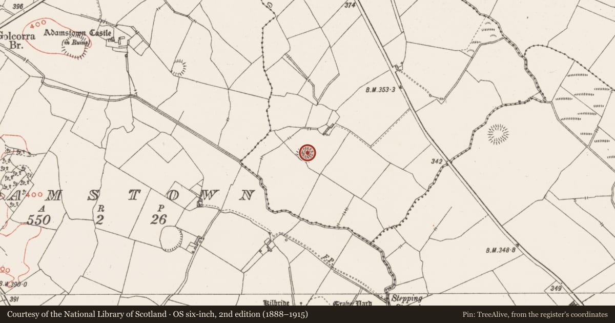 Ordnance Survey six-inch map, 2nd edition (1888–1915) covering the location of Ringfort - rath, Conranstown, County Westmeath, with a pin at the register's coordinates