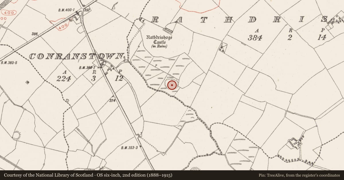 Ordnance Survey six-inch map, 2nd edition (1888–1915) covering the location of Ringfort - rath, Rathdrishoge, County Westmeath, with a pin at the register's coordinates