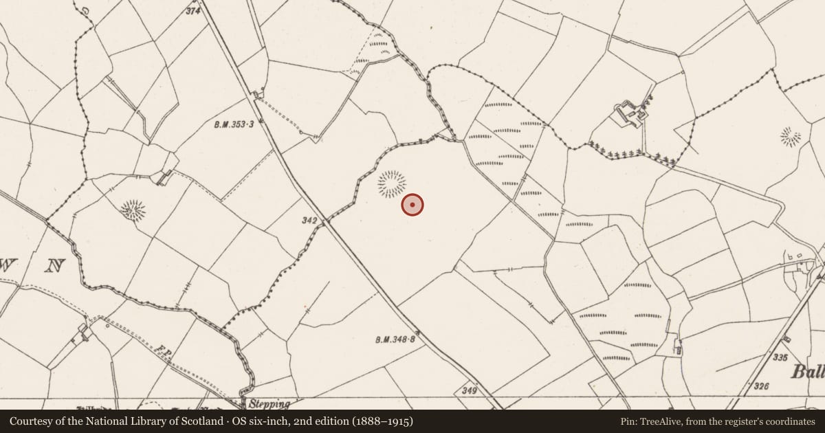 Ordnance Survey six-inch map, 2nd edition (1888–1915) covering the location of Anomalous stone group, Castletown, County Westmeath, with a pin at the register's coordinates