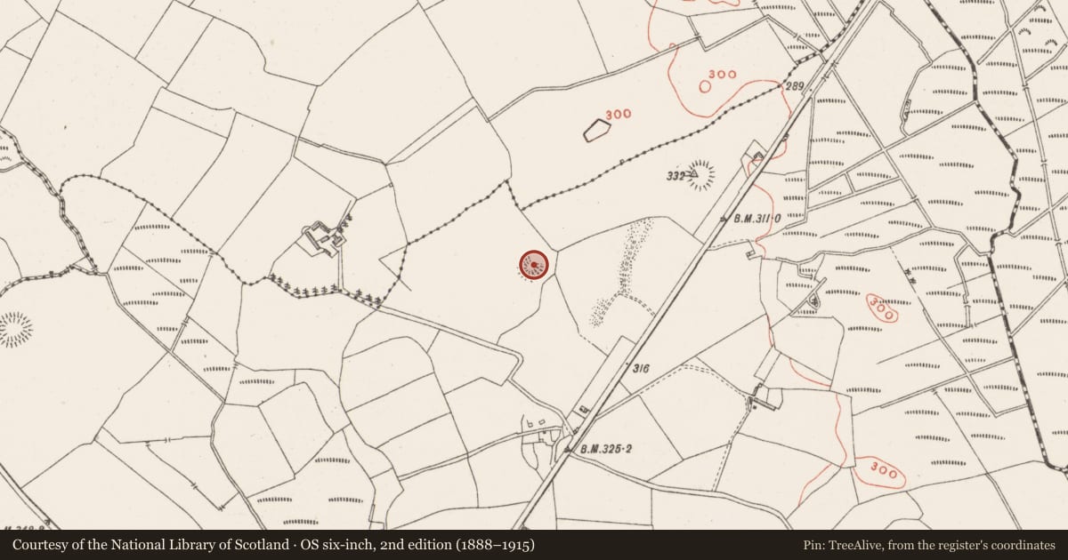 Ordnance Survey six-inch map, 2nd edition (1888–1915) covering the location of Ringfort - rath, Castletown, County Westmeath, with a pin at the register's coordinates