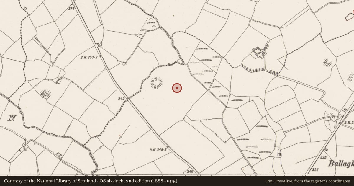 Ordnance Survey six-inch map, 2nd edition (1888–1915) covering the location of House - indeterminate date, Castletown, County Westmeath, with a pin at the register's coordinates
