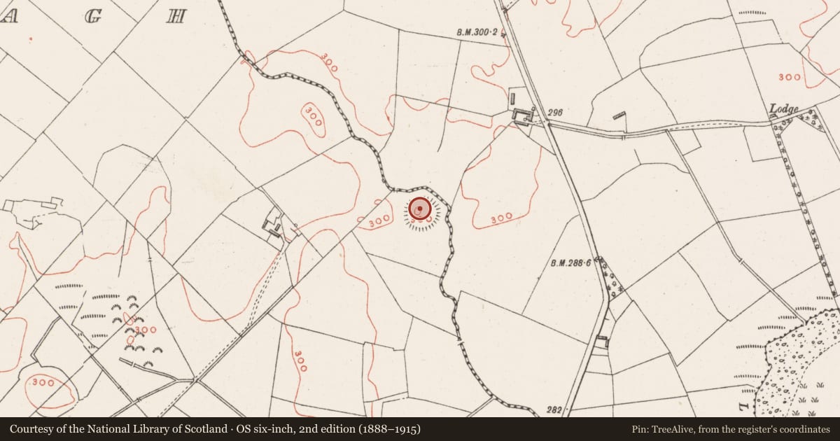 Ordnance Survey six-inch map, 2nd edition (1888–1915) covering the location of Ringfort - rath, Rathnamuddagh, County Westmeath, with a pin at the register's coordinates