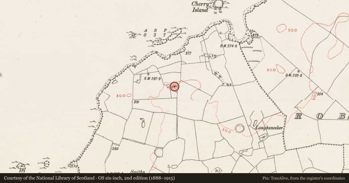 Ordnance Survey six-inch map, 2nd edition (1888–1915) covering the location of Ringfort - rath, Gaddaghanstown, County Westmeath, with a pin at the register's coordinates