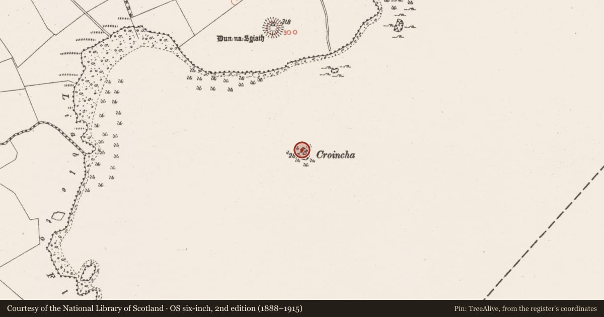 Ordnance Survey six-inch map, 2nd edition (1888–1915) covering the location of Castle - tower house, Croincha (Lough Ennell), County Westmeath, with a pin at the register's coordinates
