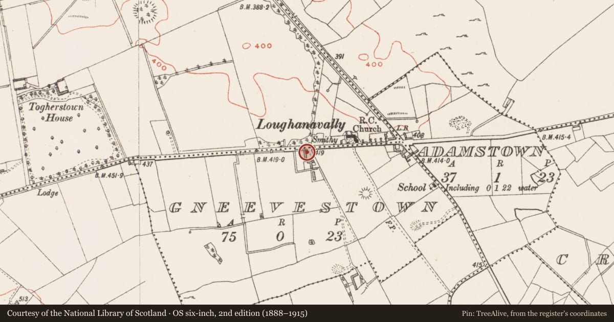 Ordnance Survey six-inch map, 2nd edition (1888–1915) covering the location of Stone head, Gneevestown, County Westmeath, with a pin at the register's coordinates