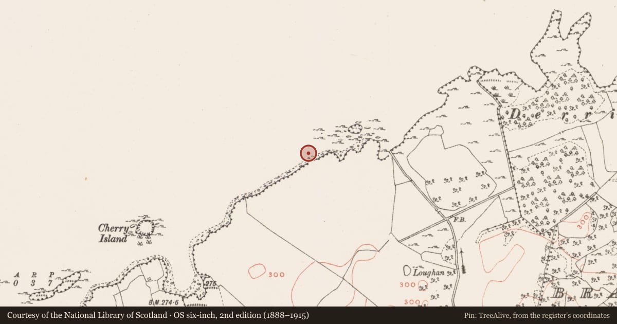Ordnance Survey six-inch map, 2nd edition (1888–1915) covering the location of Settlement platform, Robinstown (Fartullagh By., Carrick Par.), County Westmeath, with a pin at the register's coordinates