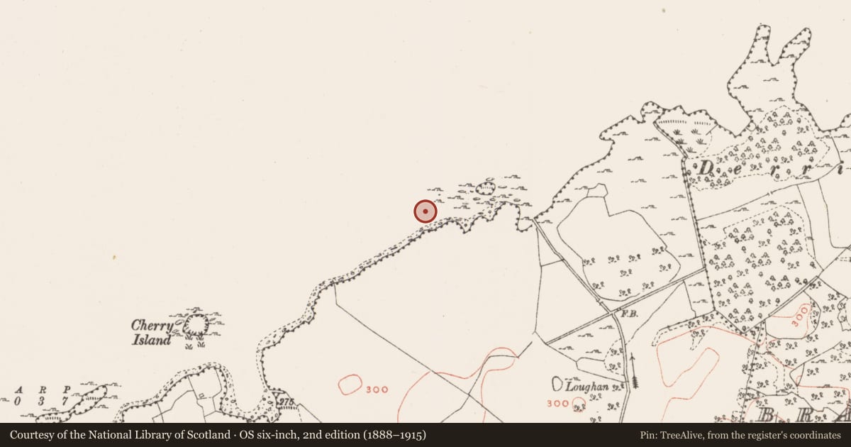 Ordnance Survey six-inch map, 2nd edition (1888–1915) covering the location of Settlement platform, Robinstown (Fartullagh By., Carrick Par.), County Westmeath, with a pin at the register's coordinates