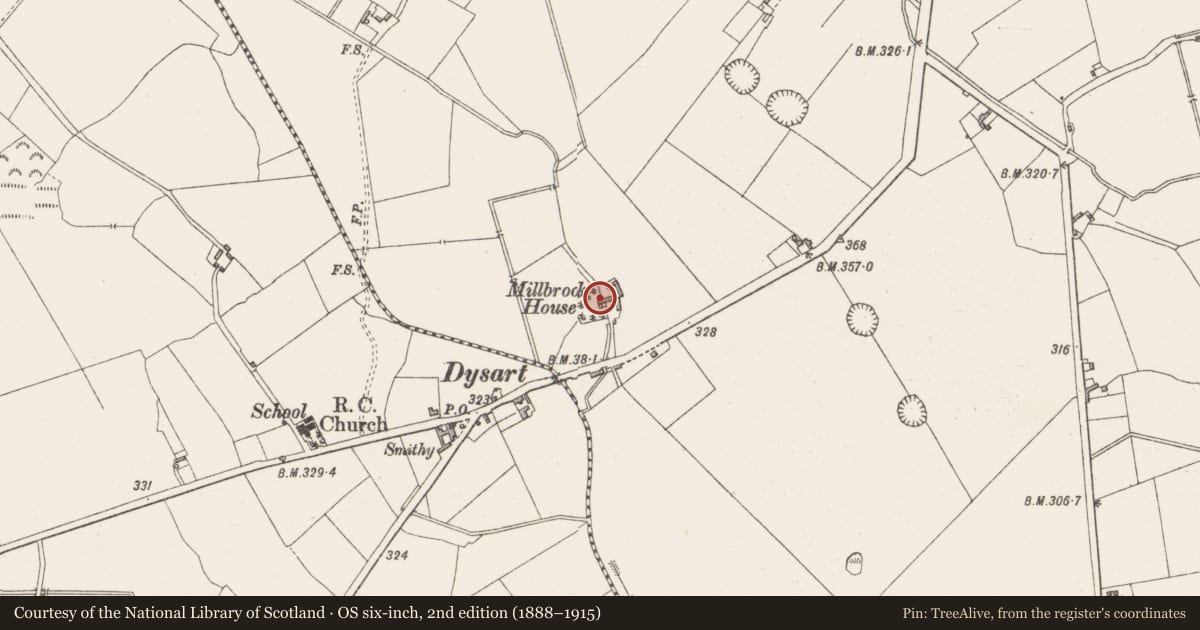 Ordnance Survey six-inch map, 2nd edition (1888–1915) covering the location of Water mill - unclassified, Dysart, County Westmeath, with a pin at the register's coordinates