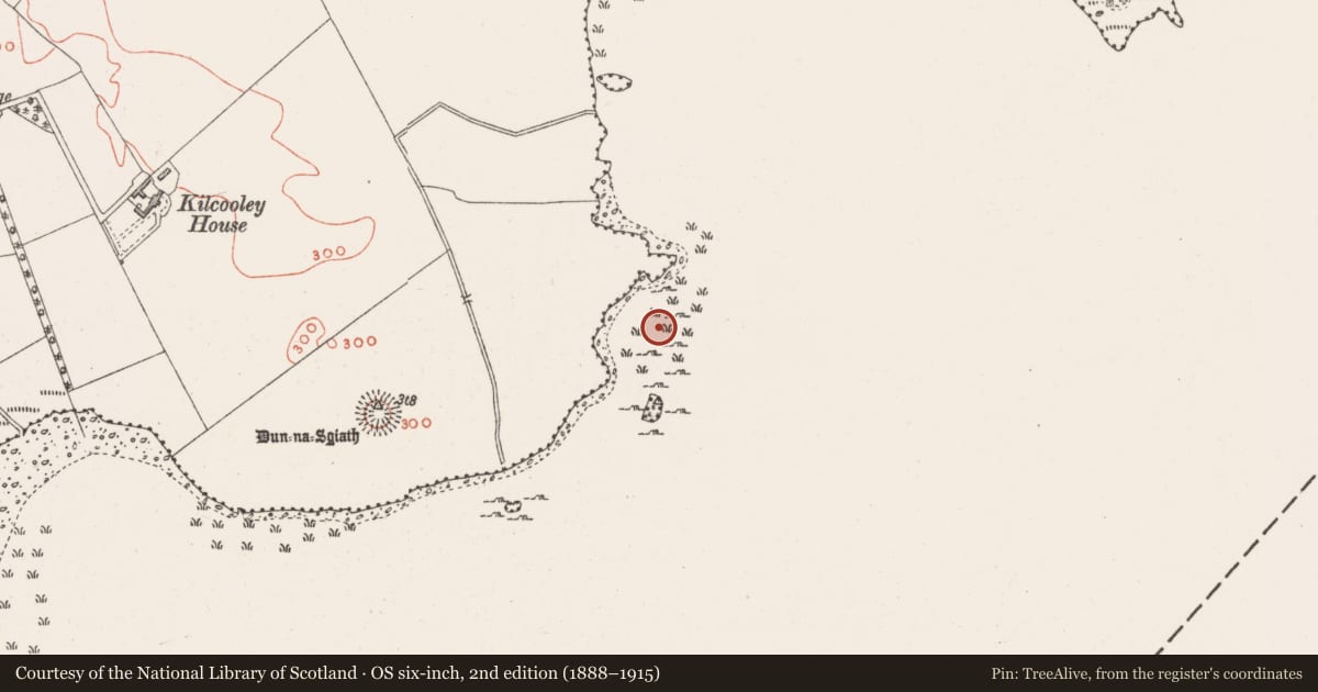 Ordnance Survey six-inch map, 2nd edition (1888–1915) covering the location of Crannog, Lough Ennell, County Westmeath, with a pin at the register's coordinates
