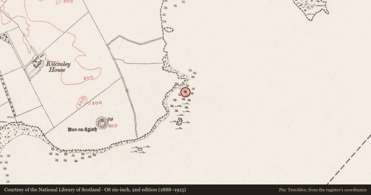 Ordnance Survey six-inch map, 2nd edition (1888–1915) covering the location of Crannog, Lough Ennell, County Westmeath, with a pin at the register's coordinates