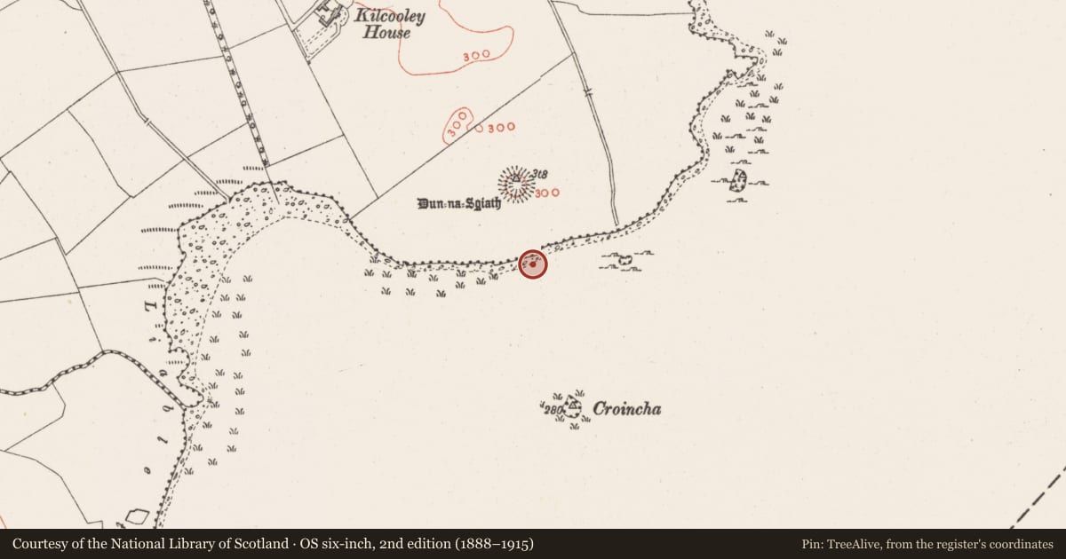 Ordnance Survey six-inch map, 2nd edition (1888–1915) covering the location of Crannog, Lough Ennell, County Westmeath, with a pin at the register's coordinates