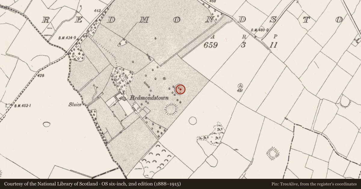 Ordnance Survey six-inch map, 2nd edition (1888–1915) covering the location of Designed landscape - tree-ring, Redmondstown, County Westmeath, with a pin at the register's coordinates