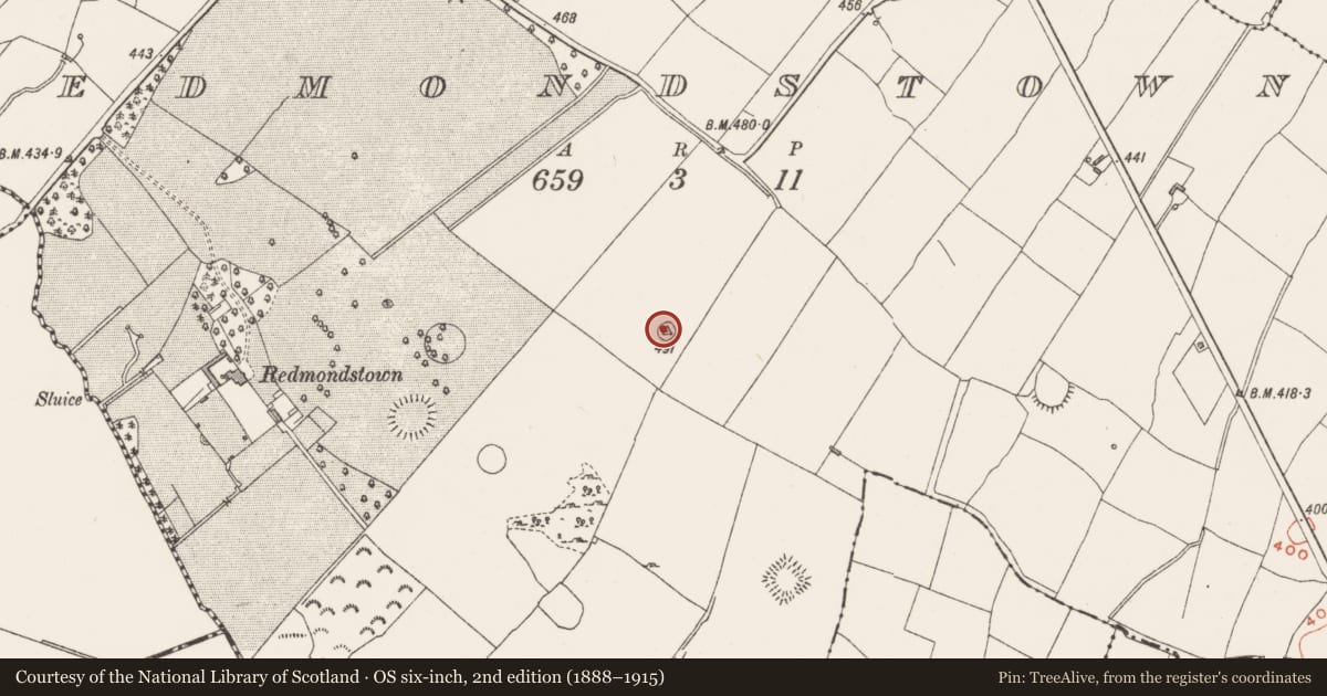 Ordnance Survey six-inch map, 2nd edition (1888–1915) covering the location of Enclosure, Redmondstown, County Westmeath, with a pin at the register's coordinates