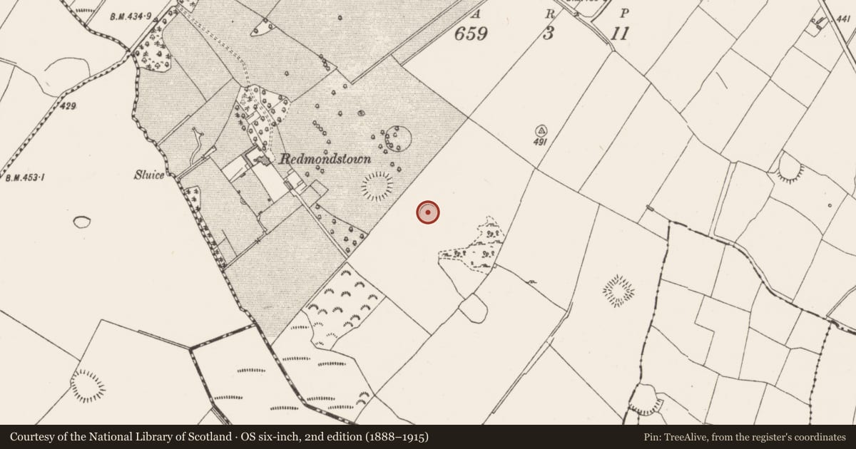 Ordnance Survey six-inch map, 2nd edition (1888–1915) covering the location of Designed landscape - tree-ring, Redmondstown, County Westmeath, with a pin at the register's coordinates