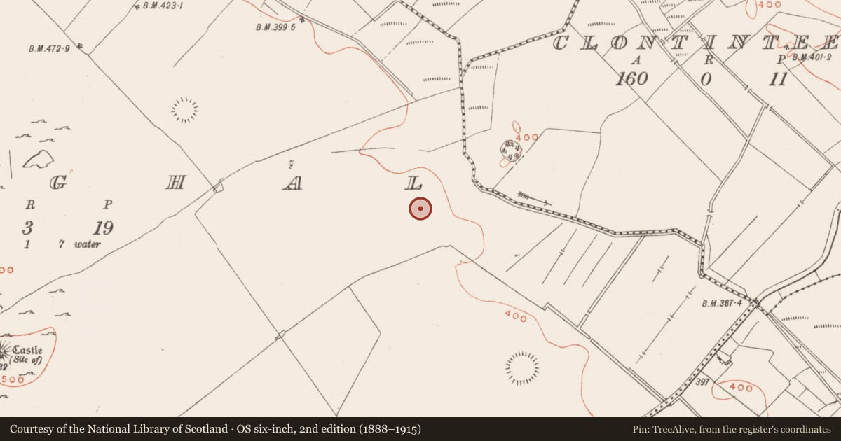 Ordnance Survey six-inch map, 2nd edition (1888–1915) covering the location of Moated site, Croughal, County Westmeath, with a pin at the register's coordinates