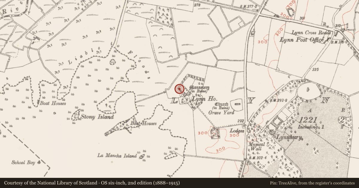 Ordnance Survey six-inch map, 2nd edition (1888–1915) covering the location of Castle - unclassified, Lynn, County Westmeath, with a pin at the register's coordinates
