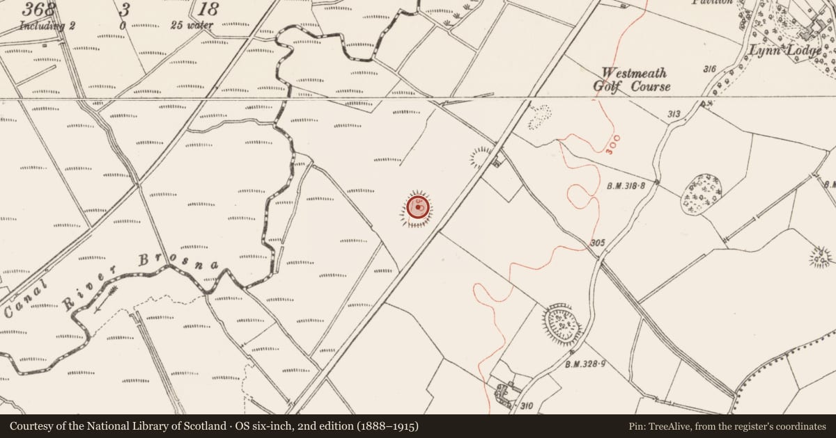 Ordnance Survey six-inch map, 2nd edition (1888–1915) covering the location of Ringfort - rath, Lynn, County Westmeath, with a pin at the register's coordinates
