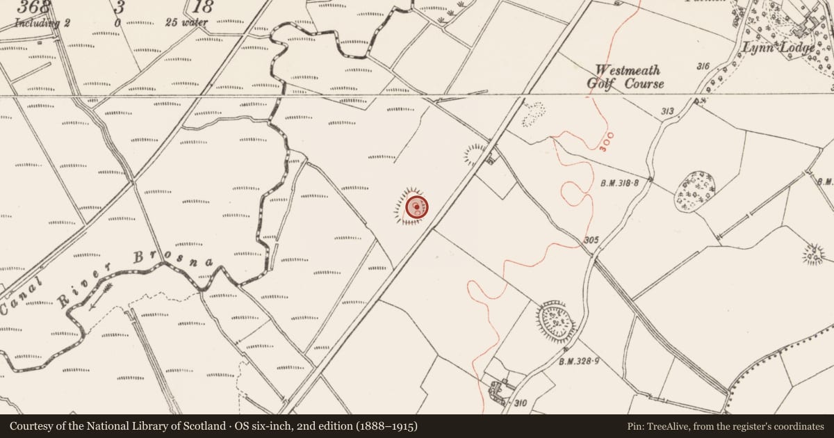 Ordnance Survey six-inch map, 2nd edition (1888–1915) covering the location of House - indeterminate date, Lynn, County Westmeath, with a pin at the register's coordinates