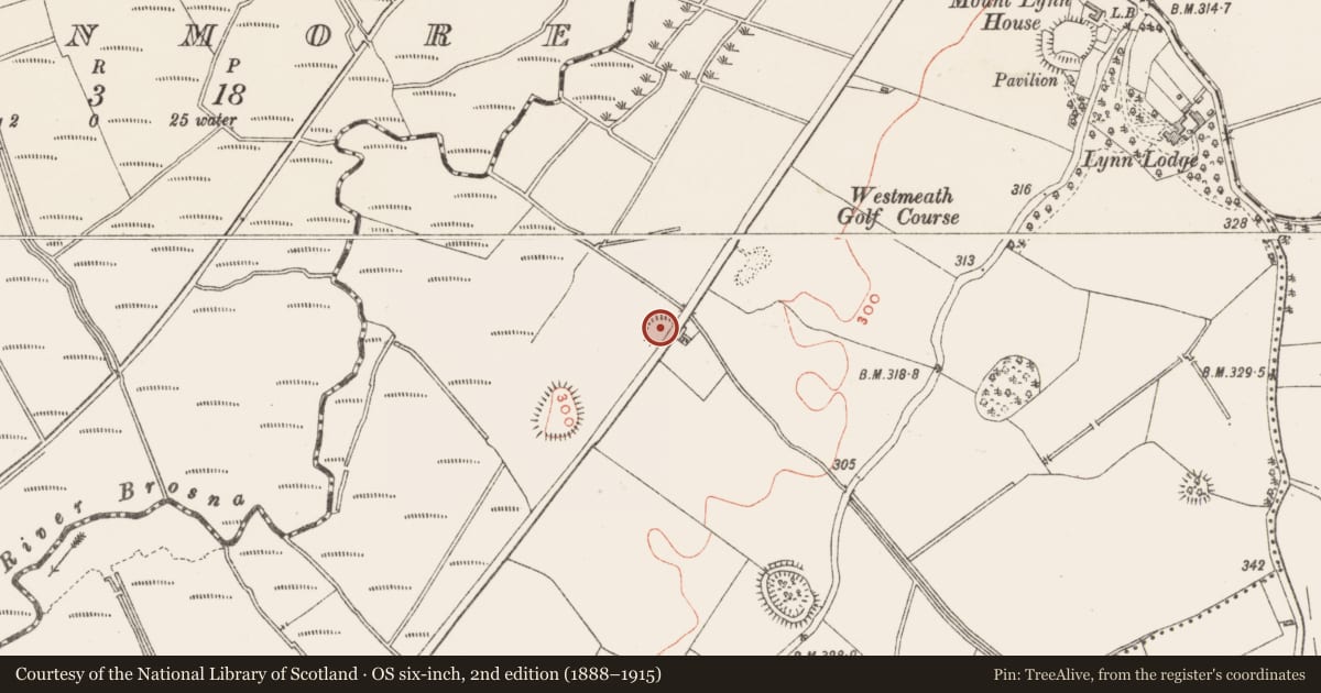 Ordnance Survey six-inch map, 2nd edition (1888–1915) covering the location of Ringfort - rath, Lynn, County Westmeath, with a pin at the register's coordinates
